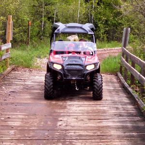 Meet your Posher, Celeste